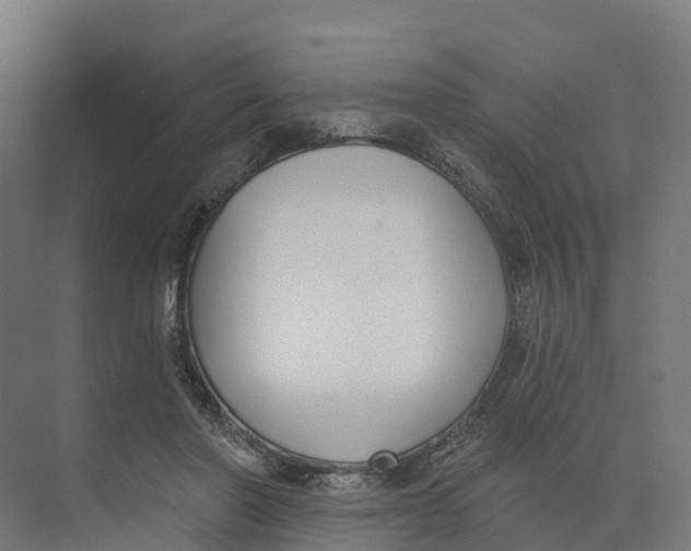 X0000073970406200609111747