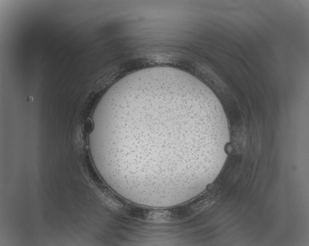 X0000073970410200609111747