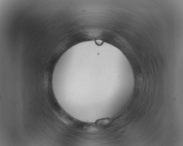 X0000073970412200609111747