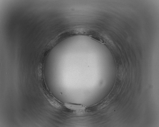 X0000073970413200609111747