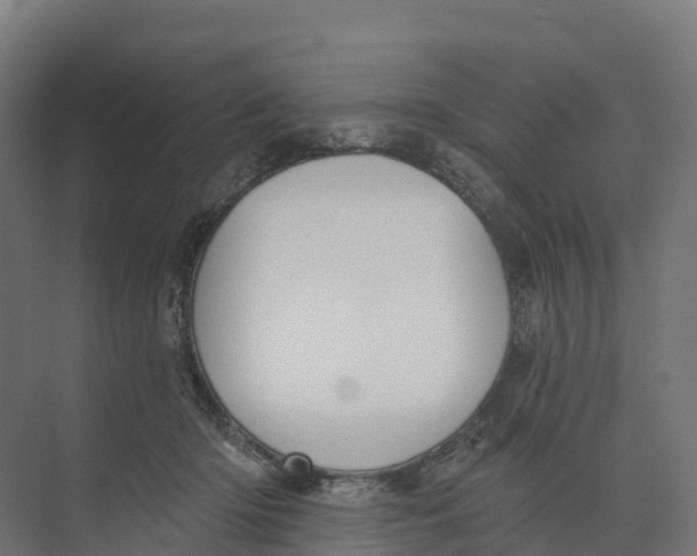 X0000073970414200609111747