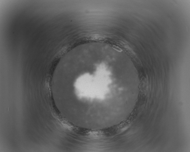 X0000073970415200609111747