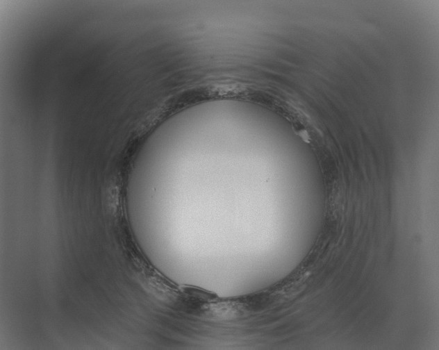 X0000073970417200609111747