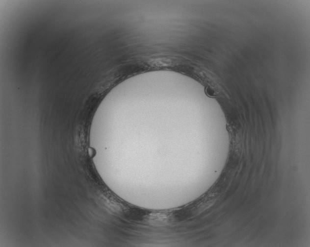 X0000073970418200609111747