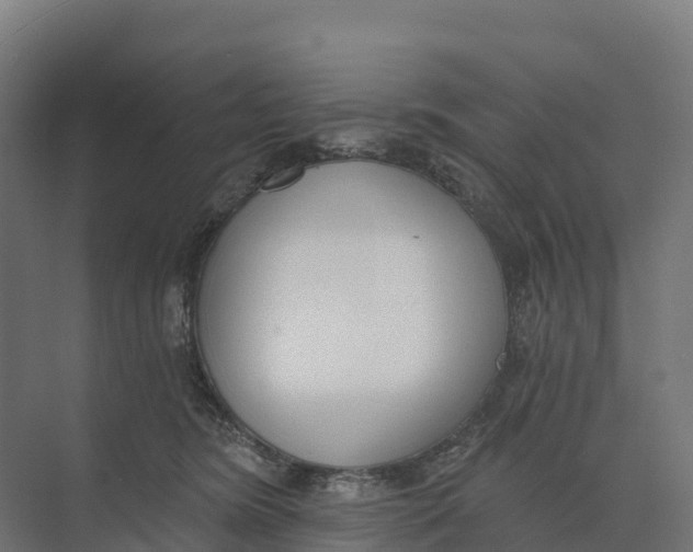 X0000073970420200609111747