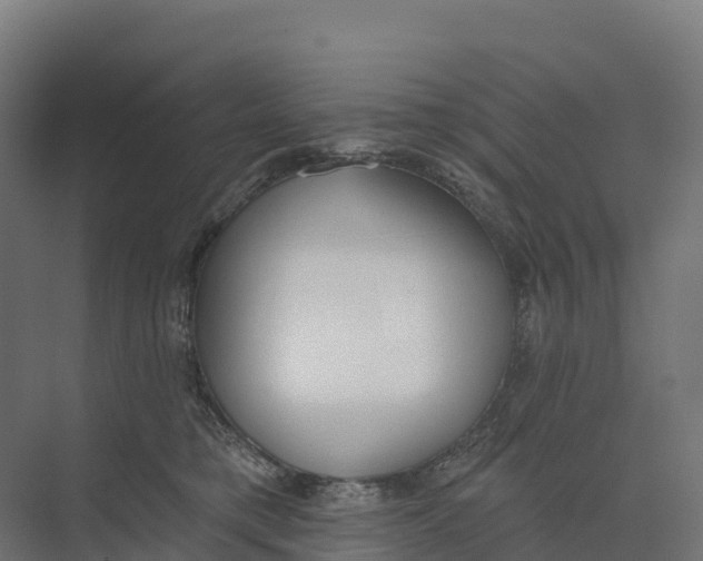 X0000073970421200609111747