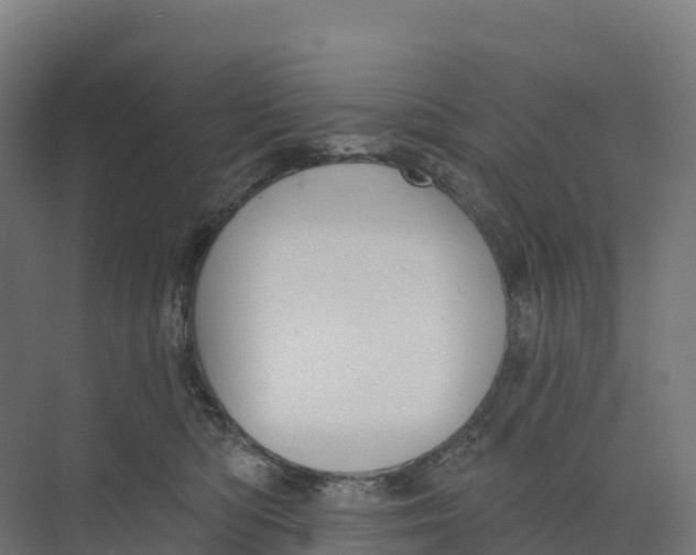 X0000073970422200609111747