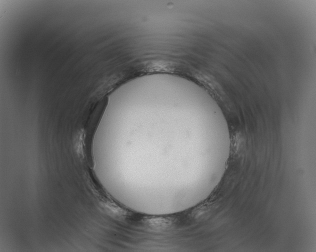 X0000073970423200609111747