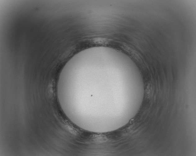 X0000073970424200609111747