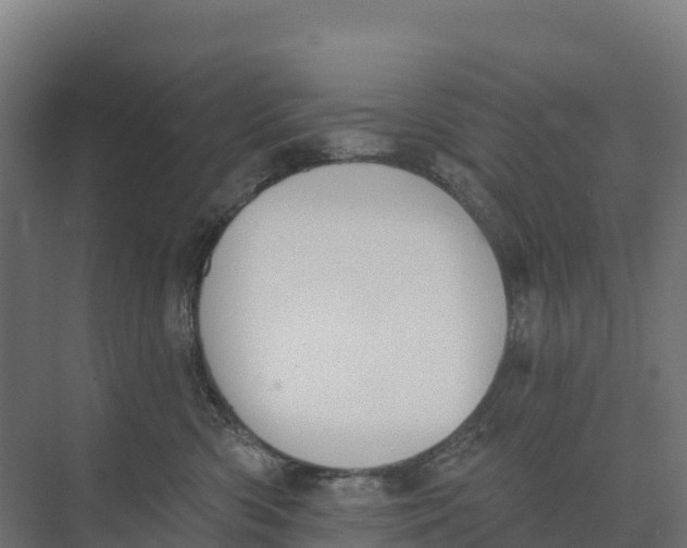 X0000073970426200609111747