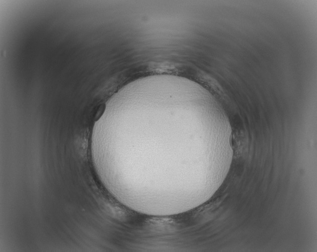 X0000073970427200609111747