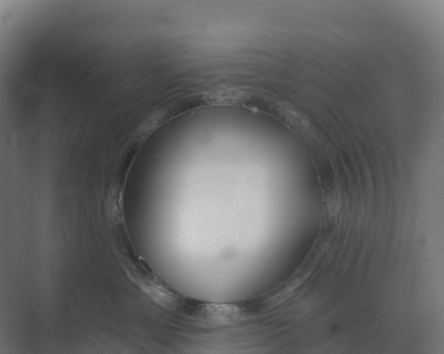 X0000073970429200609111747