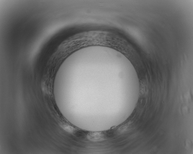 X0000073970431200609111747