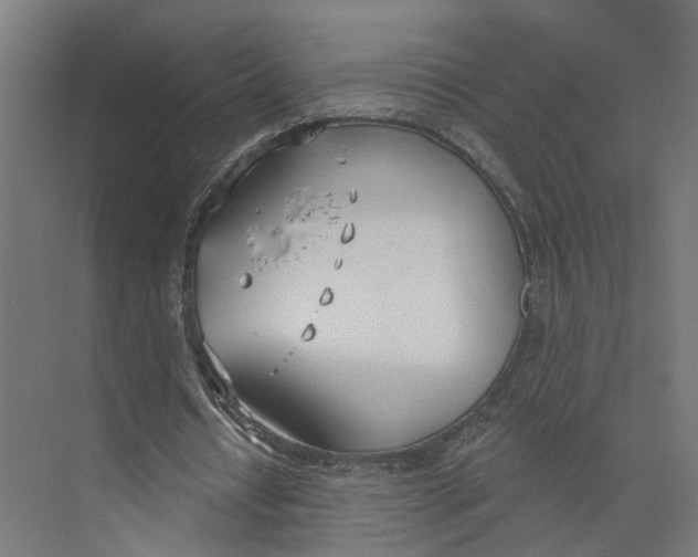 X0000073970434200609111746