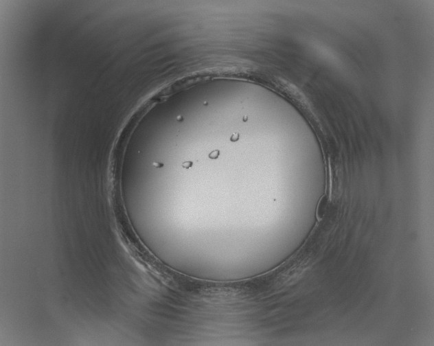 X0000073970435200609111746