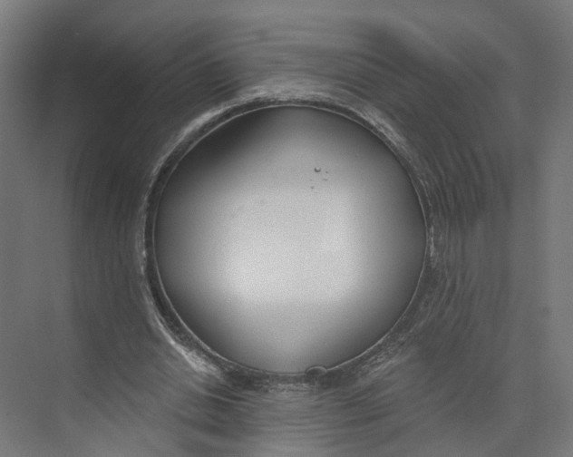 X0000073970438200609111746