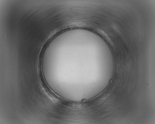 X0000073970439200609111746