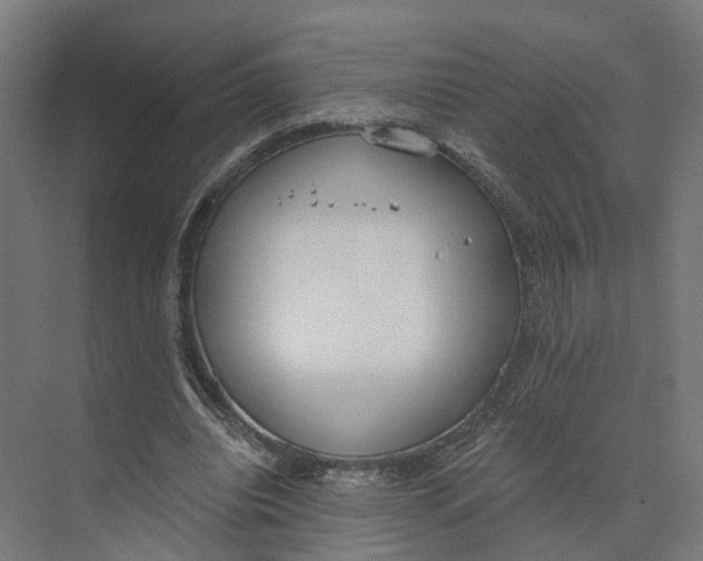 X0000073970440200609111746