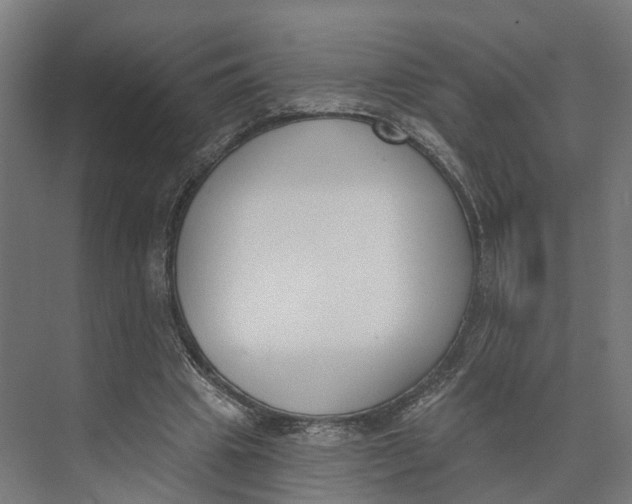 X0000073970441200609111746