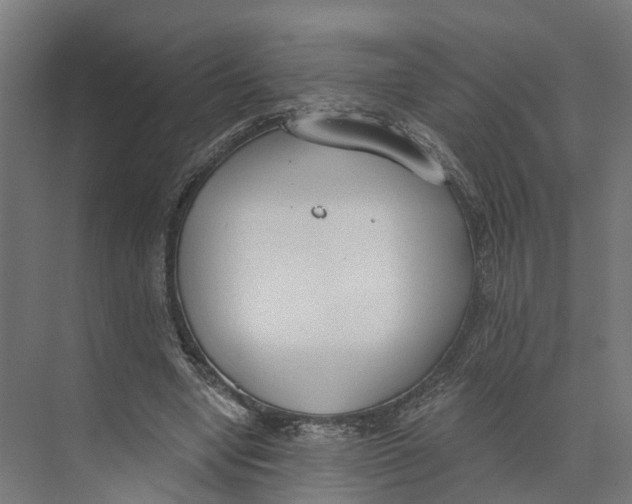 X0000073970442200609111746