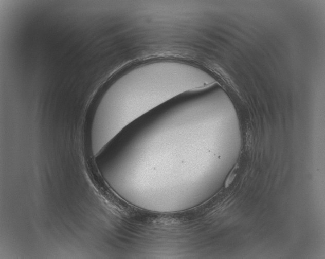 X0000073970444200609111746