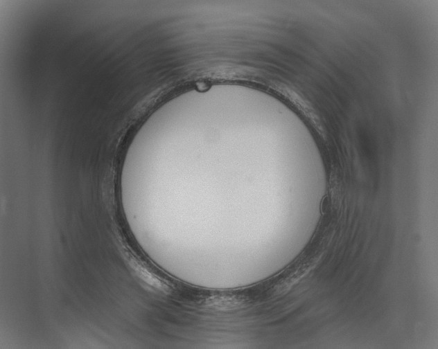 X0000073970445200609111746