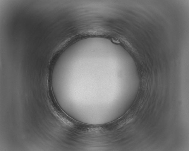 X0000073970446200609111746