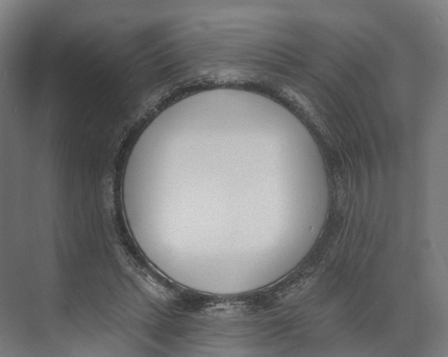 X0000073970447200609111746