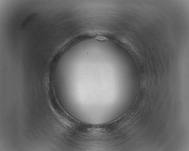 X0000073970448200609111746