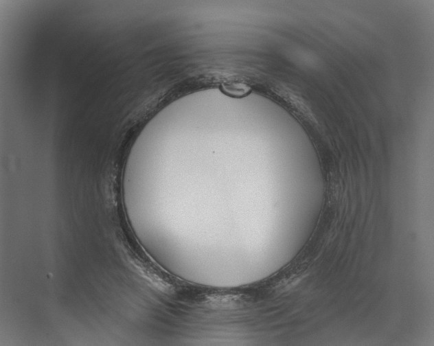 X0000073970450200609111746