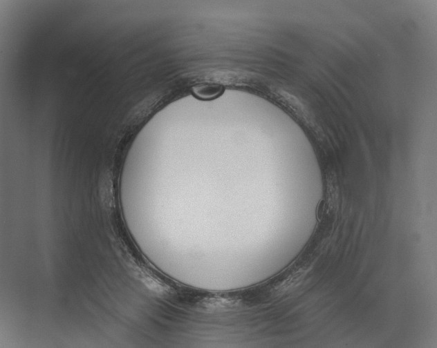 X0000073970453200609111746