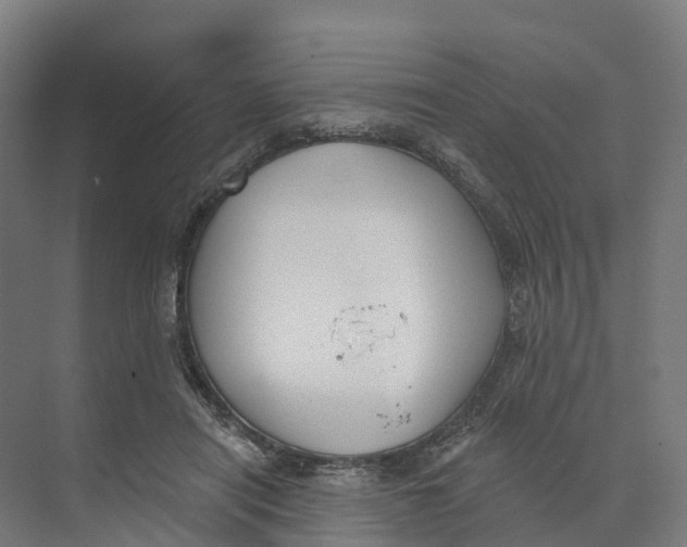 X0000073970454200609111746