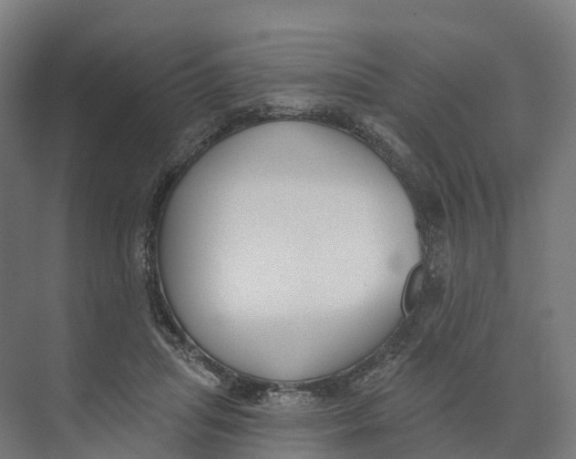 X0000073970455200609111746