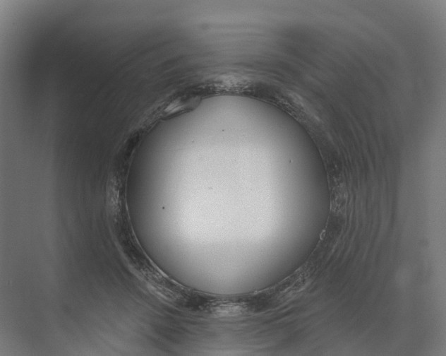 X0000073970456200609111746