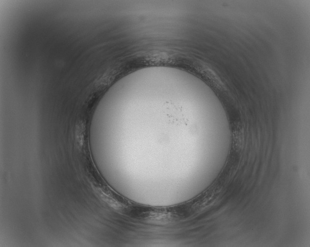 X0000073970458200609111746