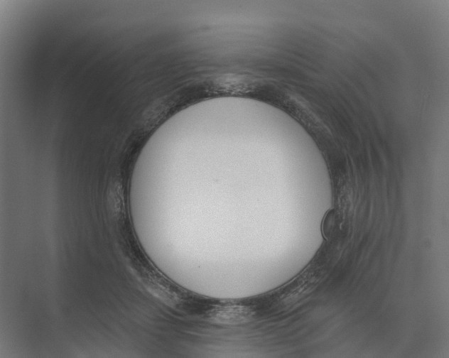 X0000073970459200609111746