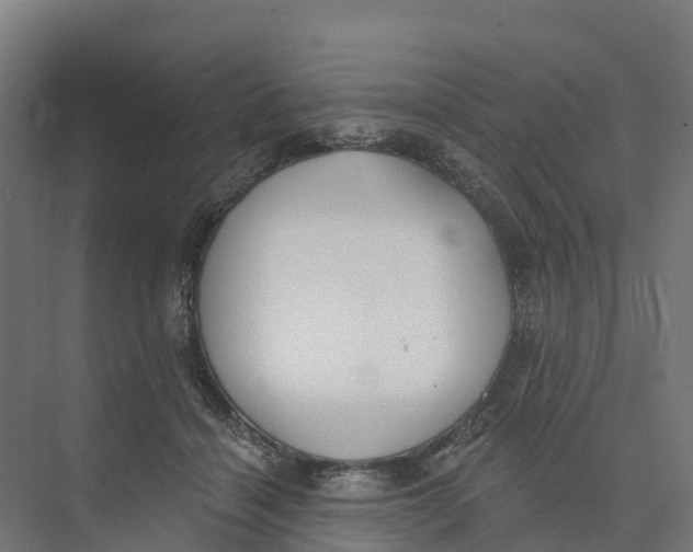 X0000073970460200609111746