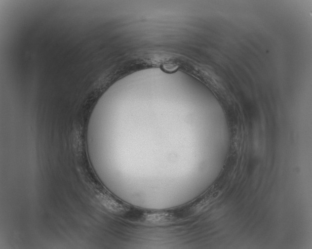 X0000073970461200609111746