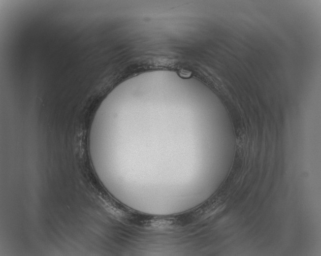 X0000073970462200609111746