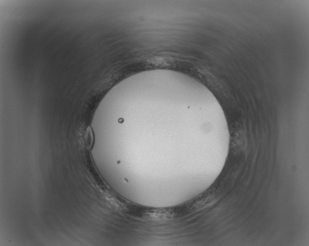 X0000073970466200609111746