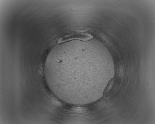 X0000073970467200609111746