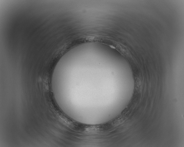 X0000073970470200609111746