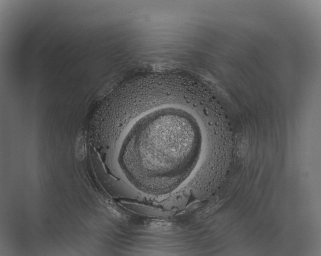 X0000073970471200609111746