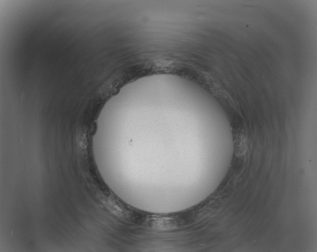 X0000073970472200609111746