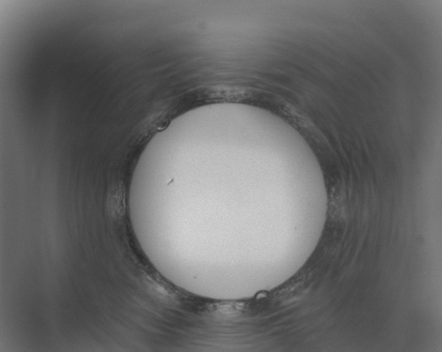 X0000073970474200609111747