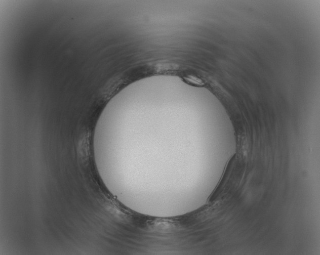 X0000073970475200609111747