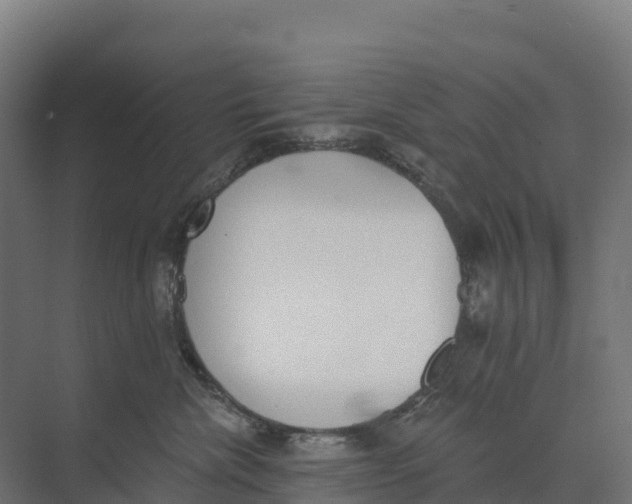 X0000073970476200609111747