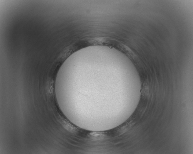 X0000073970477200609111747