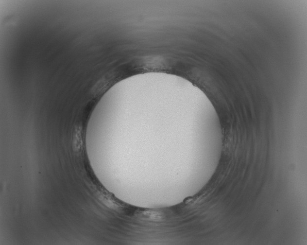 X0000073970478200609111747