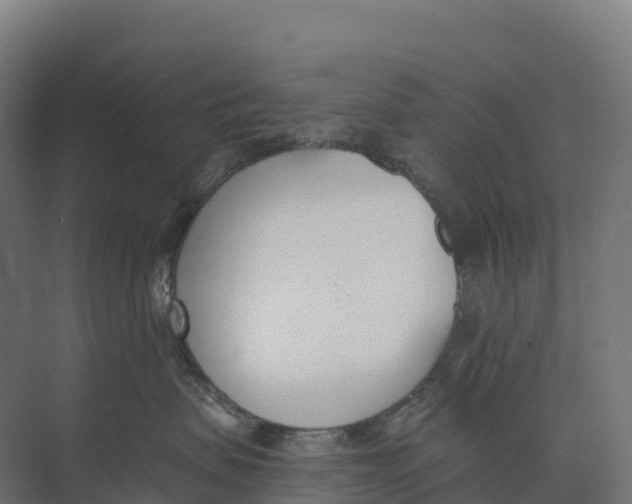 X0000073970479200609111747